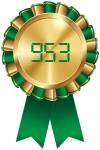 Golden Review Award: 953 From Our Users