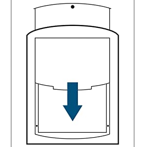 petsafe pet doors, cat flap, dog flap, staywell, extreme weather dog door, weather resistant,