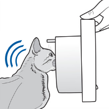 microchip activated cat flap 4-way; Cat flaps for uPVC walls; Glass doors; cat flaps for wooden door