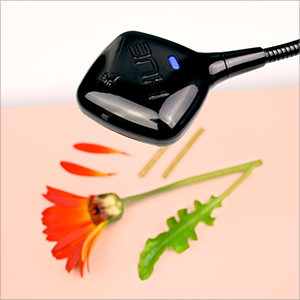 black Pro flower with border