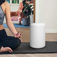 humidifier dual100