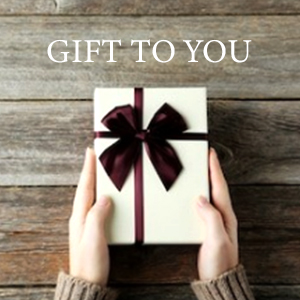 love heart butterfly necklace