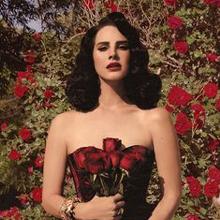 Hypoallergenic Sterling Silver Hoop Earrings