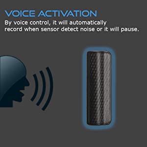 Voice recorder