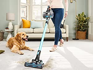 A whole home clean