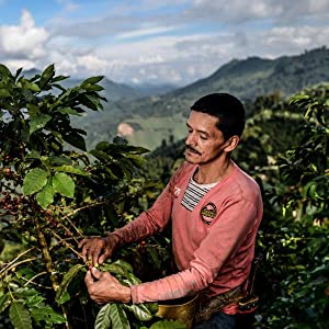 Investing in high quality farming