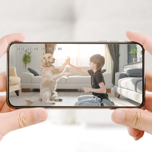 IN1 pets camera for dogs and cats