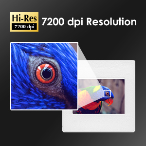 7200 dpi scan resolution