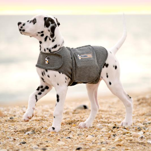 Thundershirt Dalmatian