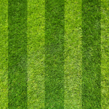 Striped Lawn