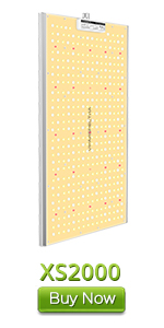 XS2000 2000w led grow light