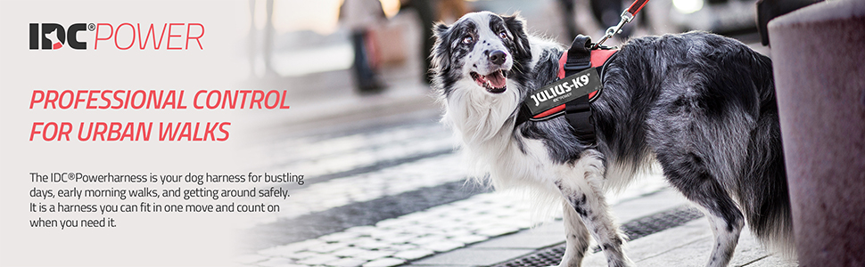 IDC Power, K9, Julius-K9, dog harness, control, comfort, IDC, 