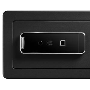 biometric safe, fingerprint lock