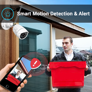 Motion Detection & Alert
