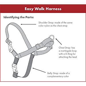 Dog Dogs Harness Harnesses Control Obedience Training Pulling Comfortable Lead Pull No Choking