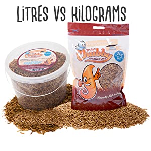 Litres vs Kilograms