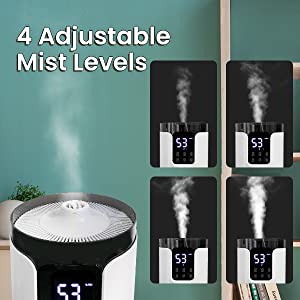4 adjustable mist level