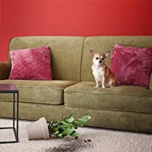 yi dome camera 1080p 360 yi camera amazon yi camera yi smart security camera yi indoor camera