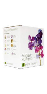 Fragrant Flowers Kit