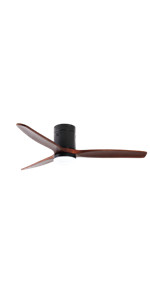 ceiling fan dc motor