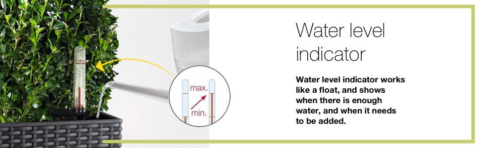 Lechuza Self Watering system