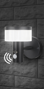 LED Wall Light with Motion Sensor
