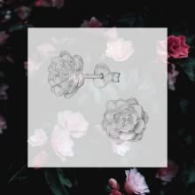 Jewellery, women's jewellery, women's earrings, stud earrings, women, jewellery, sterling silver 925, nickel-free.