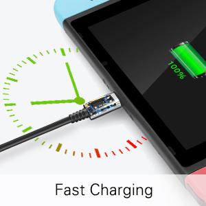 switch charger