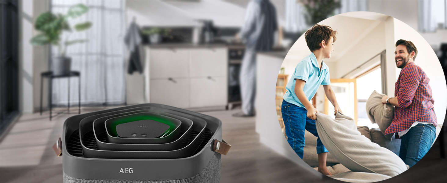 AX91-404GY,Air Purifier,AEG