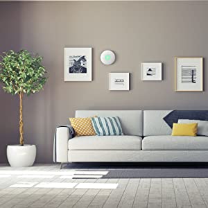 Sunny living room.