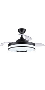 ceiling light with fan black