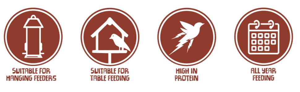 Mealworms