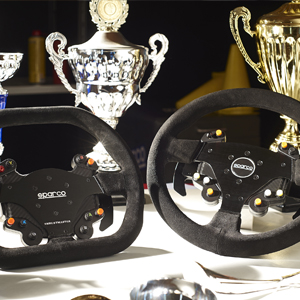 Thrustmaster; Logitech; FANATEC; TS-XW; TS; XW; steering wheel; simulator; racing simulator; sim