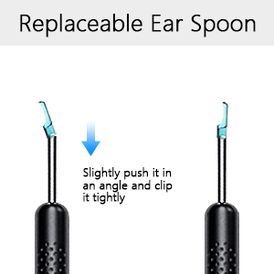 replaceable ear picks