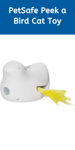 sureflap cat flap; staywell; cat flaps for upvc door; glass doors; Wooden doors Wall cat flap