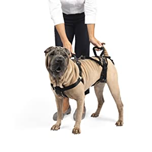 Dog harness for dogs after surgery