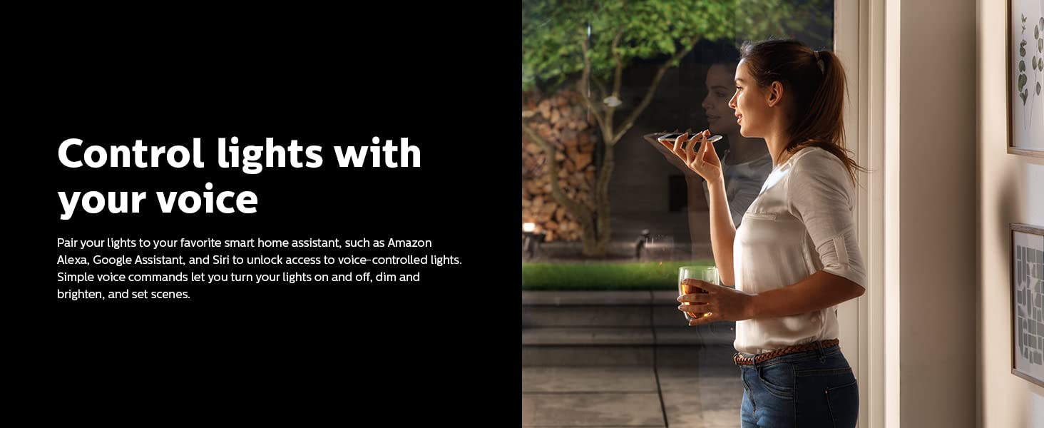 Philips Hue control the lights with your voice
