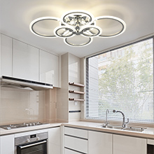 LED Ceiling Light