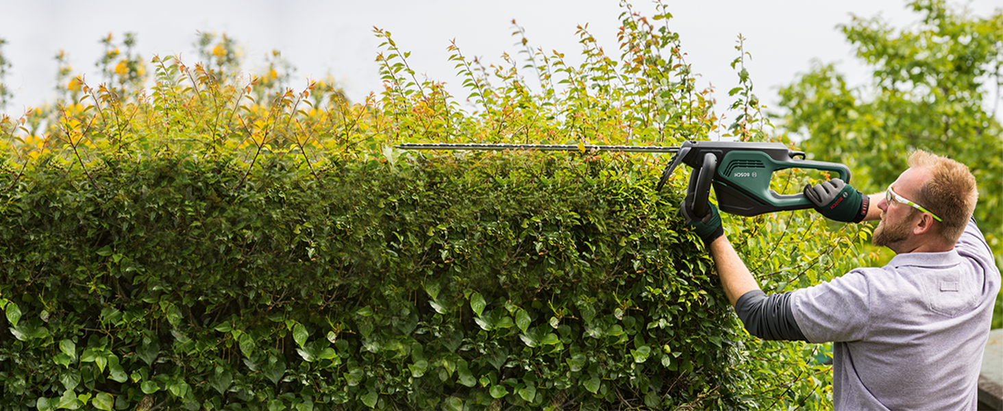 Bosch, AdvancedHedgecut 65