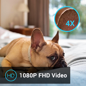 1080P FHD Video