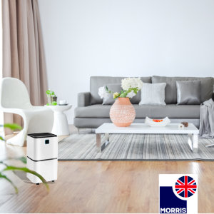 Morris 12L Dehumidifier with WiFi perfect for the living room