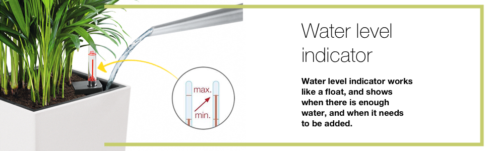 Lechuza Self Watering system