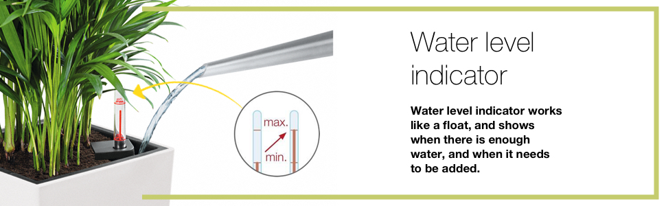 Lechuza Self Watering system