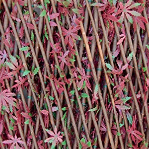 Decorative trellis with synthetic hedge Red Acer