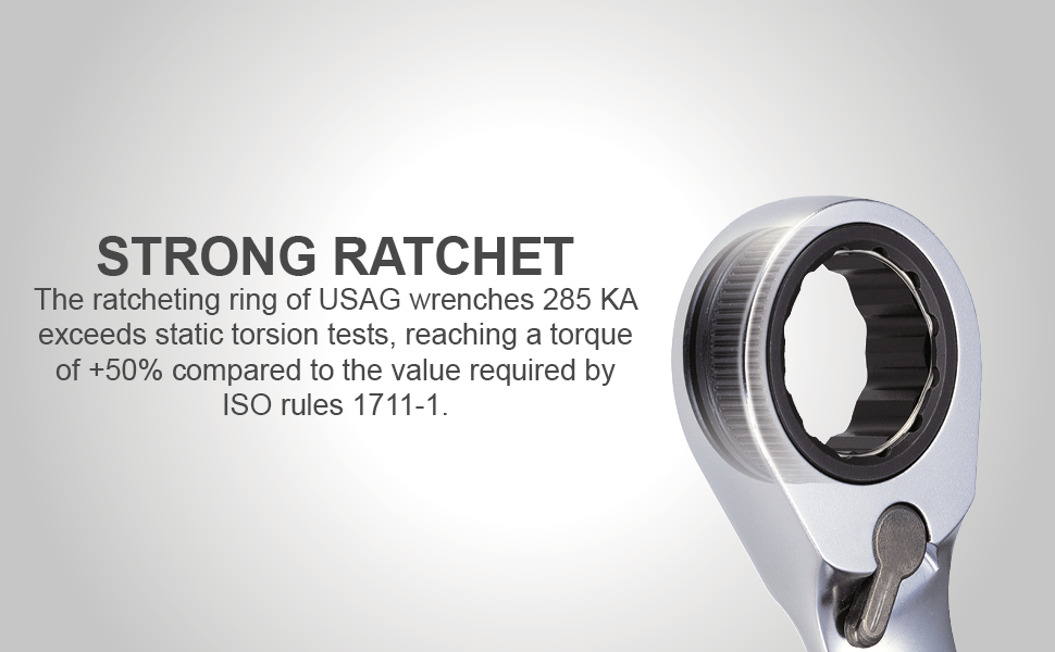 Reversible Ratchet