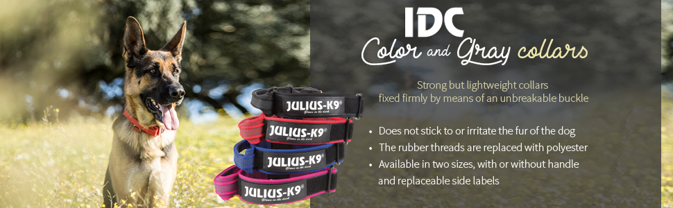 Color & Gray, K9, Julius-K9, harness, belt, dog, walk, summer, summer harness, premium, quality, 