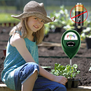 soil test