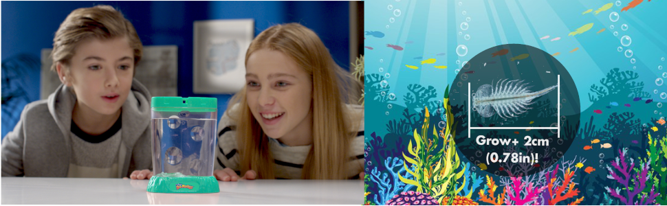 Two children smile looking at 3 Sea-Monkeys Ocean Zoo tanks, a graphic shows size of shrimp 2cm