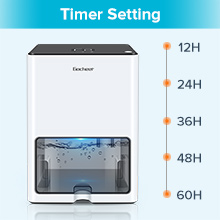 Timer Setting 12h 24h 36h 48h