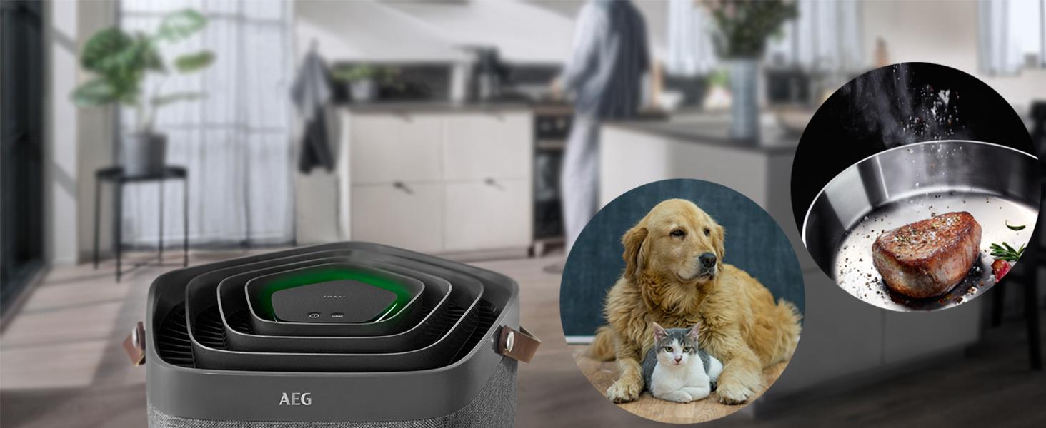 AX91-404GY,Air Purifier,AEG